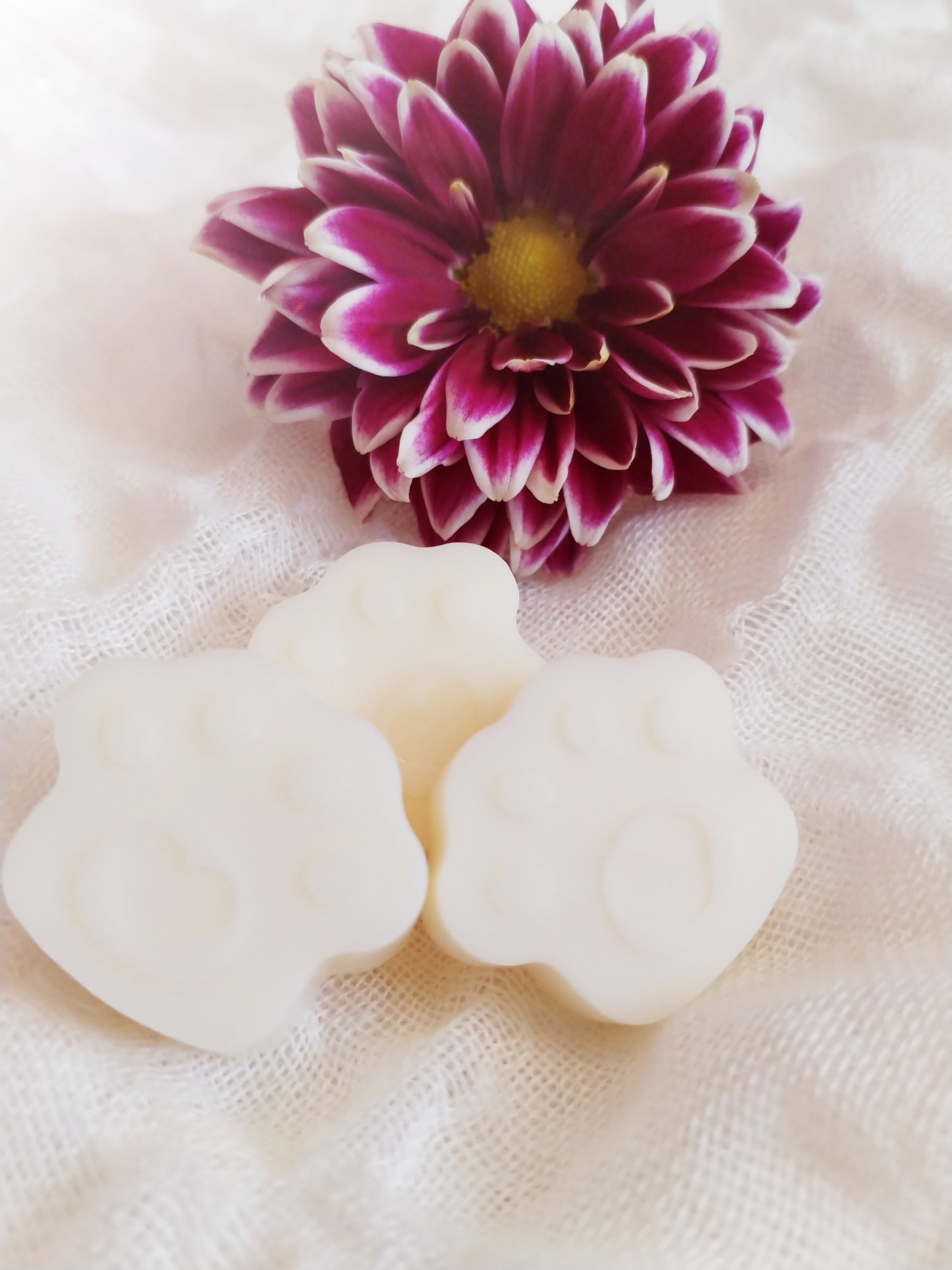 Black Plum & Rhubarb Luxury Handmade Soy Wax Melts 6 x Little Paws 45g
