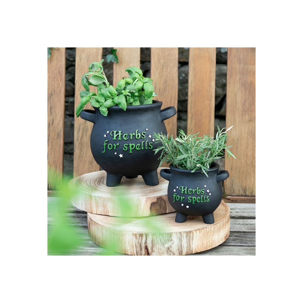 Small Herbs For Spells Cauldron Plant Pot