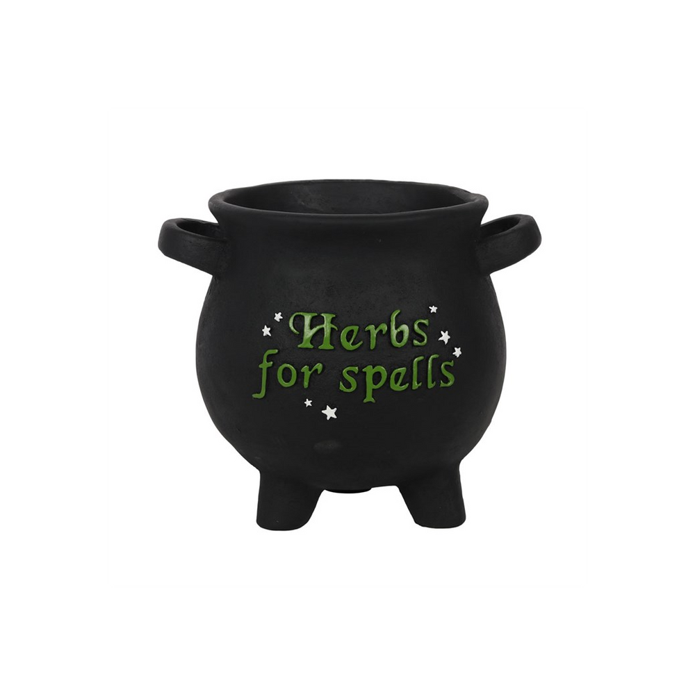 Large Herbs For Spells Cauldron Plant Pot