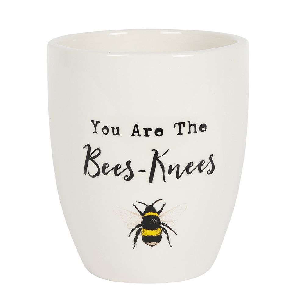 "You're the Bees Knees" Ceramic Plant Pot - White Background